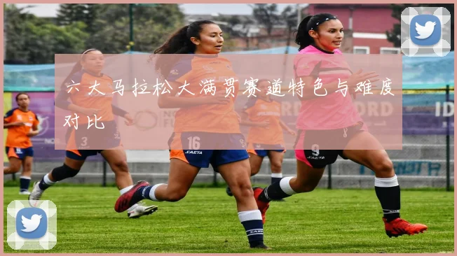 六大马拉松大满贯赛道特色与难度对比